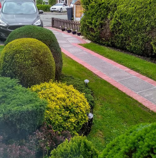 Three Pines Building Co Ltd (Builders - Wolverhampton, West Midlands) — Customer photo
