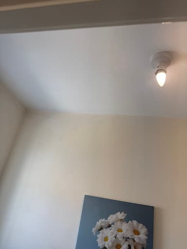 Nicholas & George Builders Limited, Home Renovation Specialist — Customer photo
