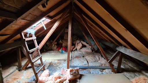 Edinburgh Attics established 1989. — Customer photo