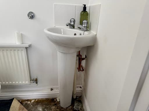 ADN Builders — Customer photo