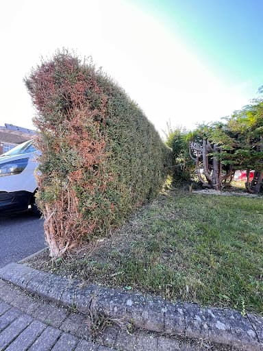 JD Builders Luton — Customer photo