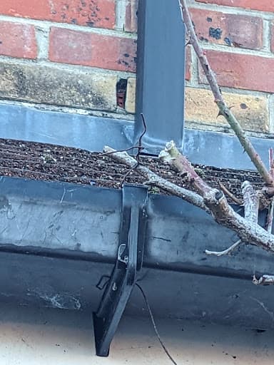 Dunnybuild Ltd — Customer photo
